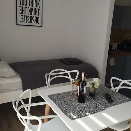 Apartament Fibra Cortado Rybnik  Exterior photo